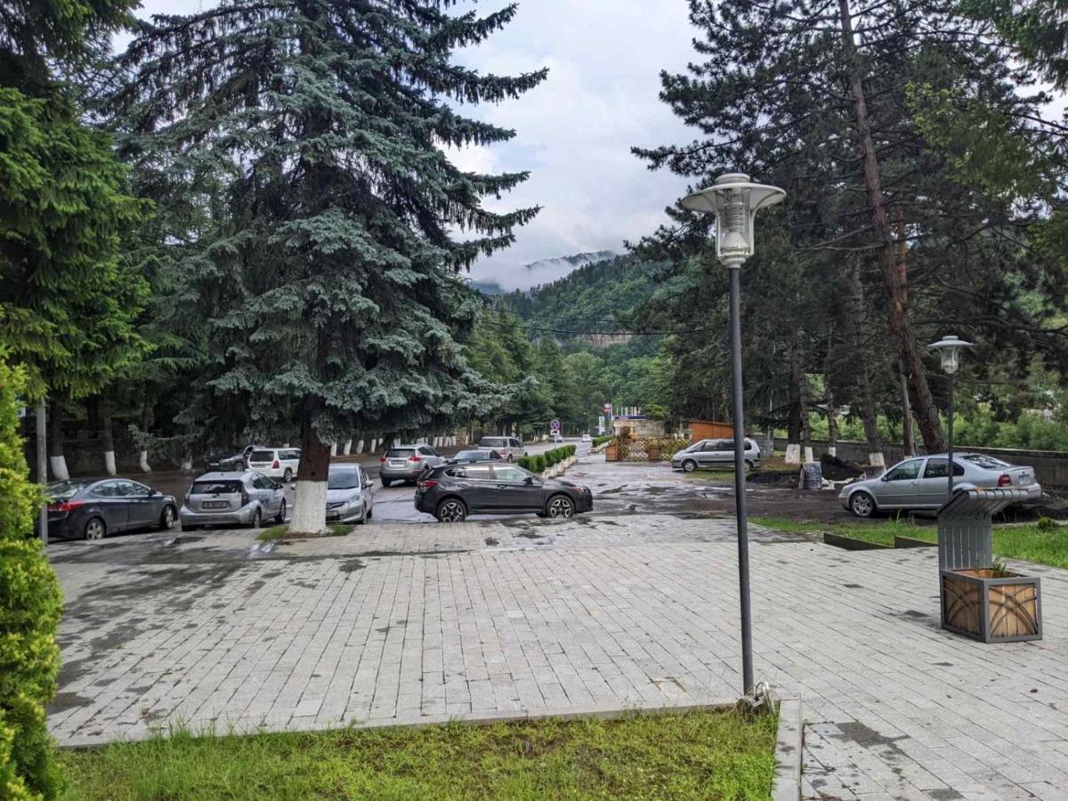 Riverside Borjomi Bagian luar foto